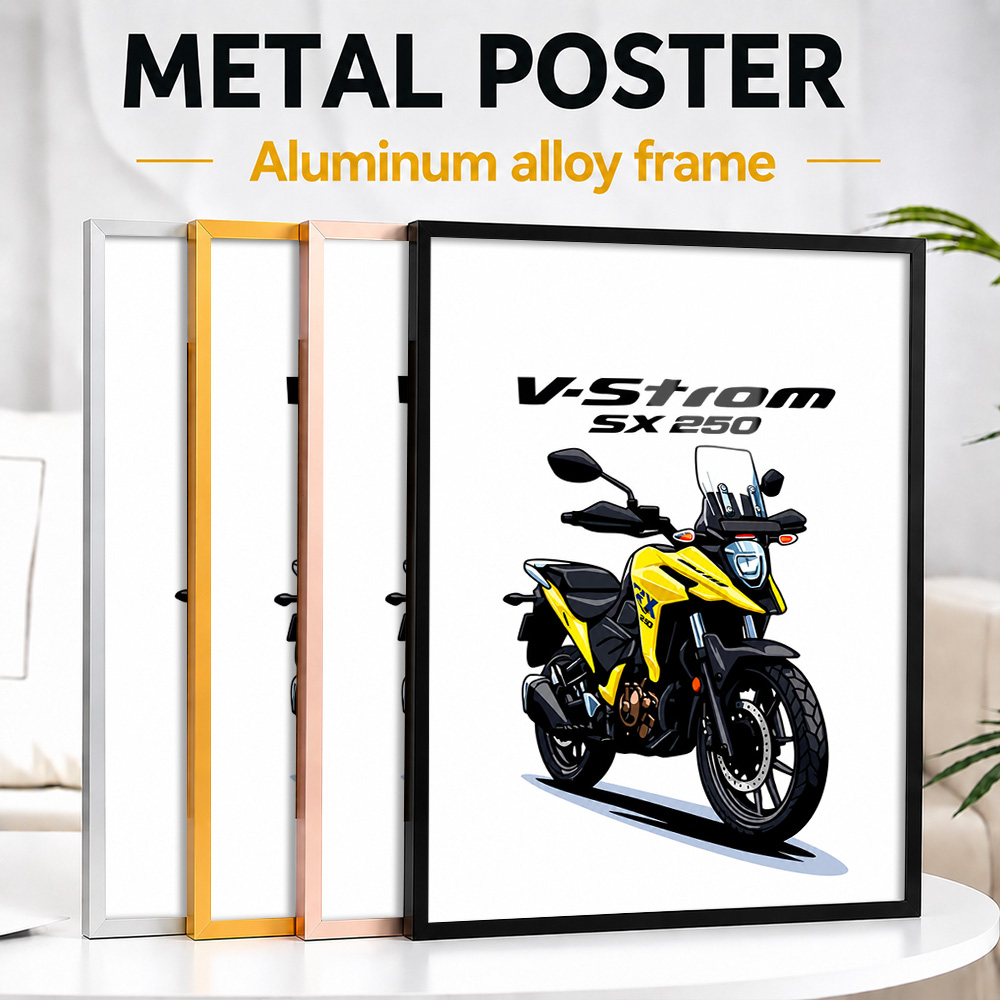 Riding Gear - Японский мотоцикл V-Strom SX 250, металлический
